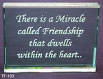 There is a miracle called friendship